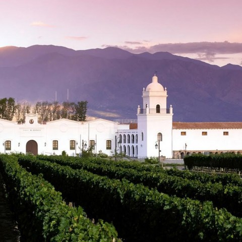 Patios de Cafayate Wine Hotel