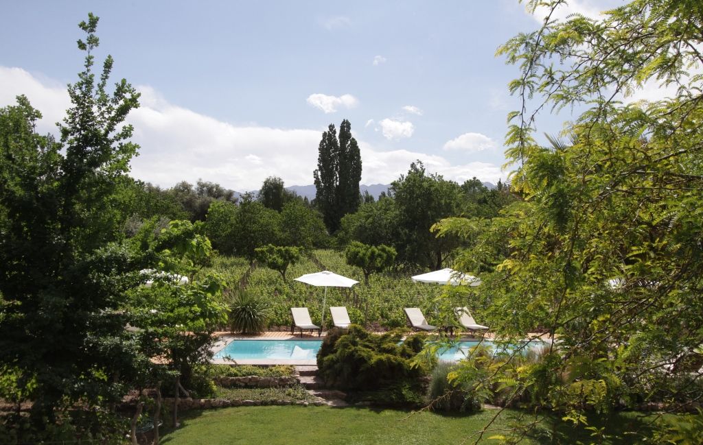 Finca Adalgisa