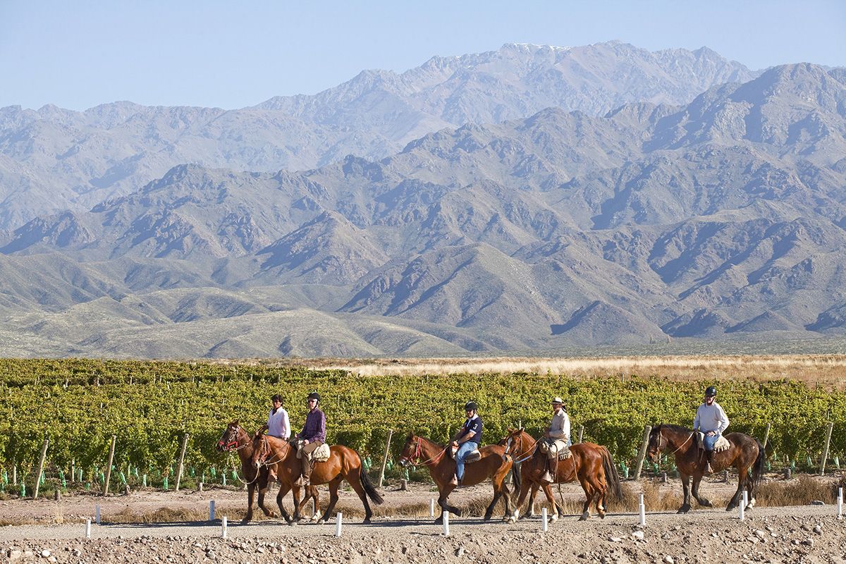 Casa de Uco Vineyards & Wine Resort